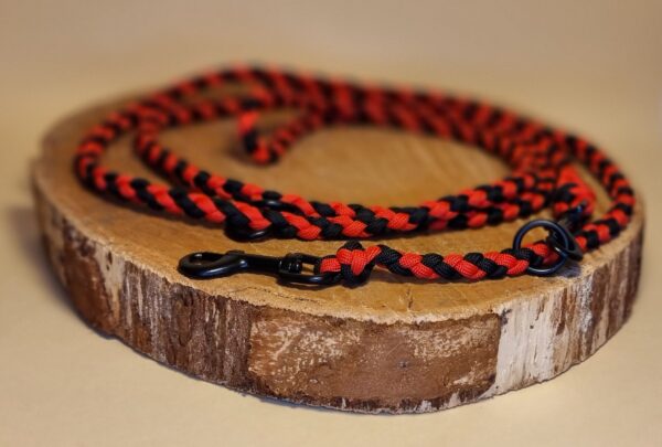 Hundeleine "Marienkäfer" – Bild 5