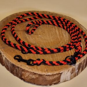 Hundeleine "Marienkäfer"