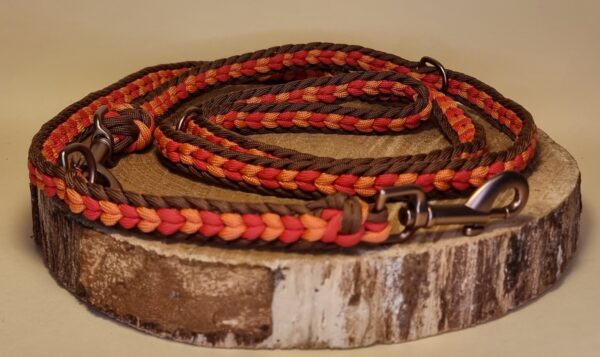 Hundeleine "Indian Summer" – Bild 4