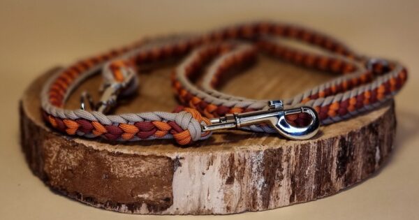 Hundeleine "Wildfire" – Bild 4
