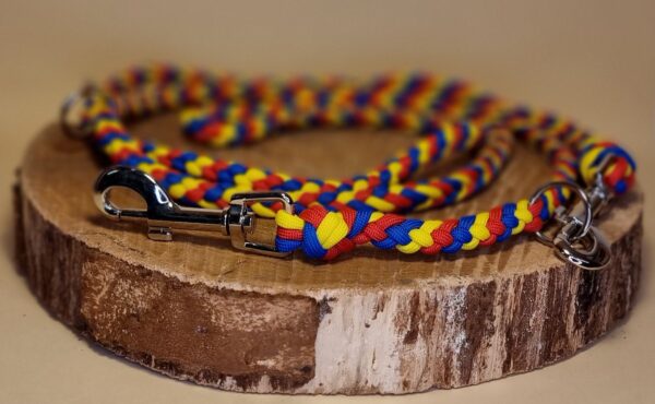 Hundeleine "FCB" – Bild 3