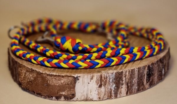 Hundeleine "FCB" – Bild 4