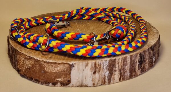 Hundeleine "FCB" – Bild 5