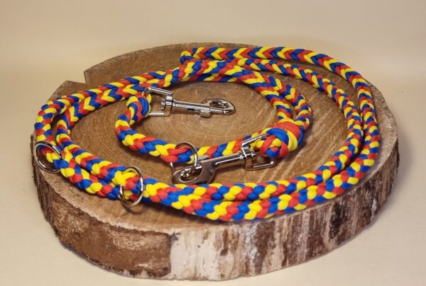 Hundeleine "FCB"