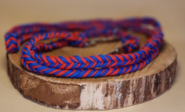 Hundeleine "Scarblue" – Bild 3