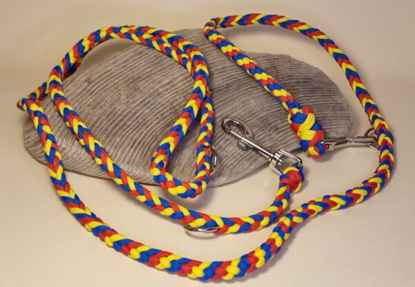 Hundeleine "FCB" – Bild 2
