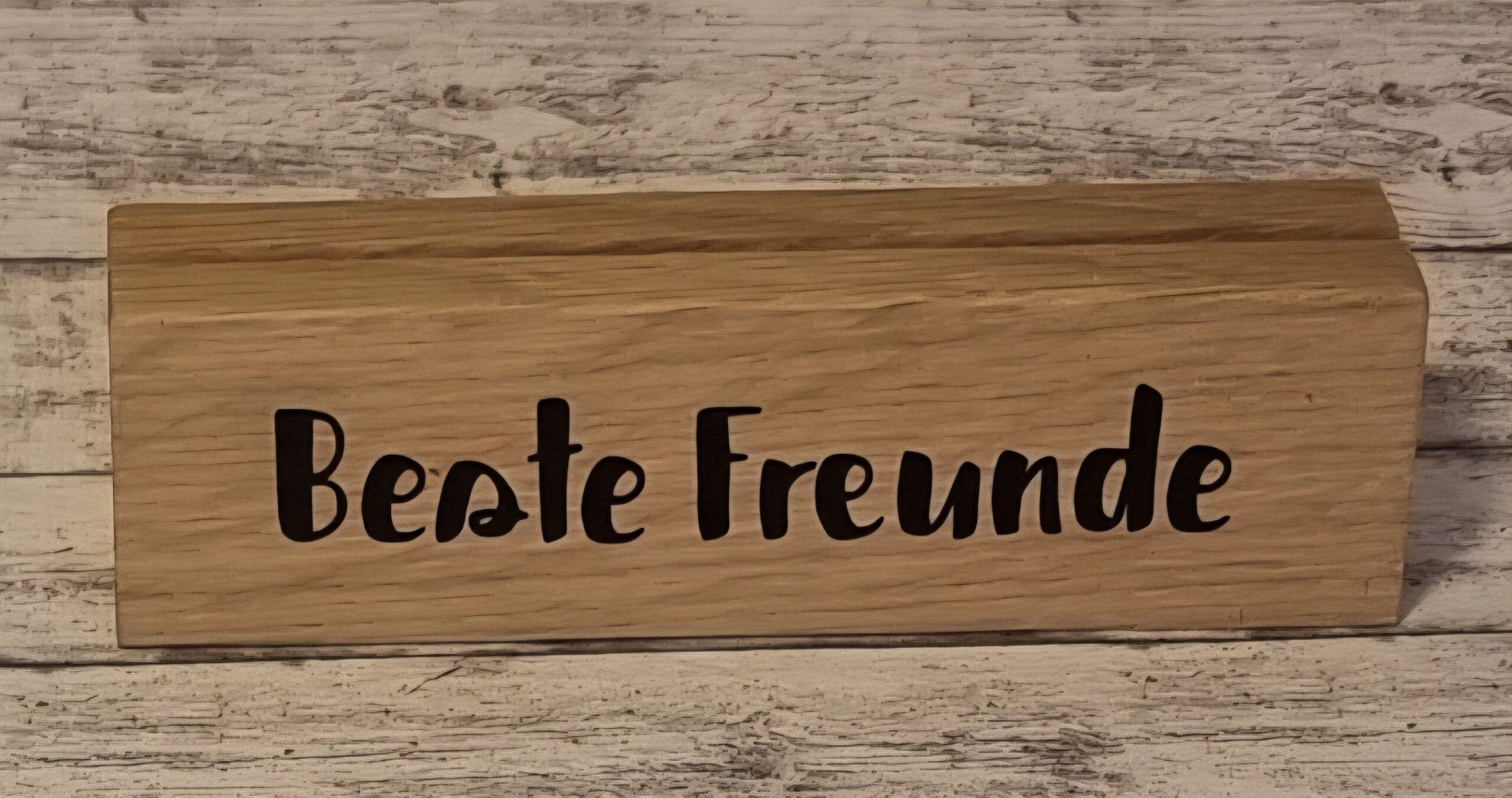 Leinenhalter "Beste Freunde" – Bild 2